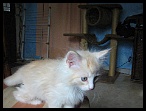 0010 2 mois 